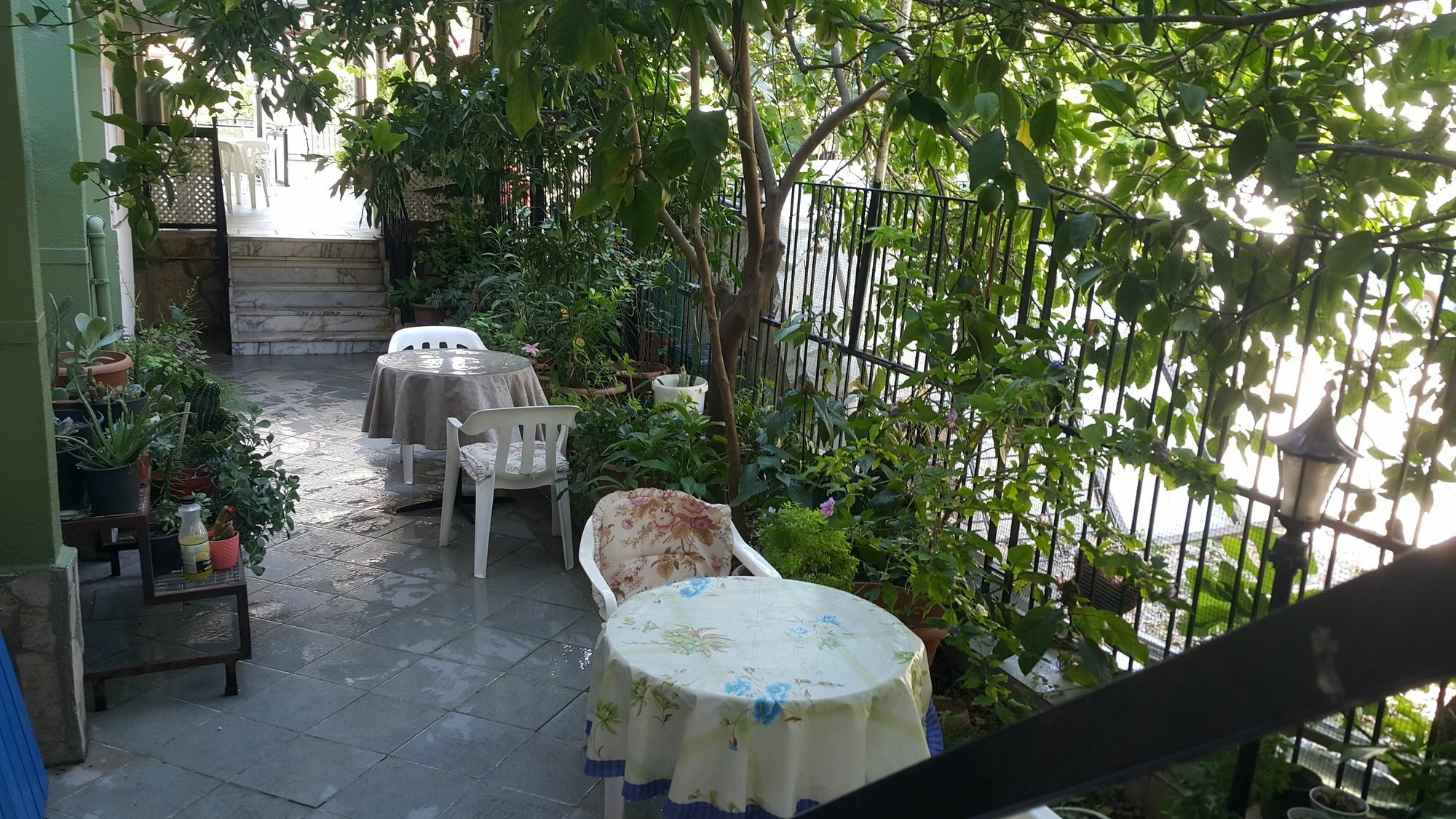 Cicek Hotel & Apartments Fethiye Bagian luar foto